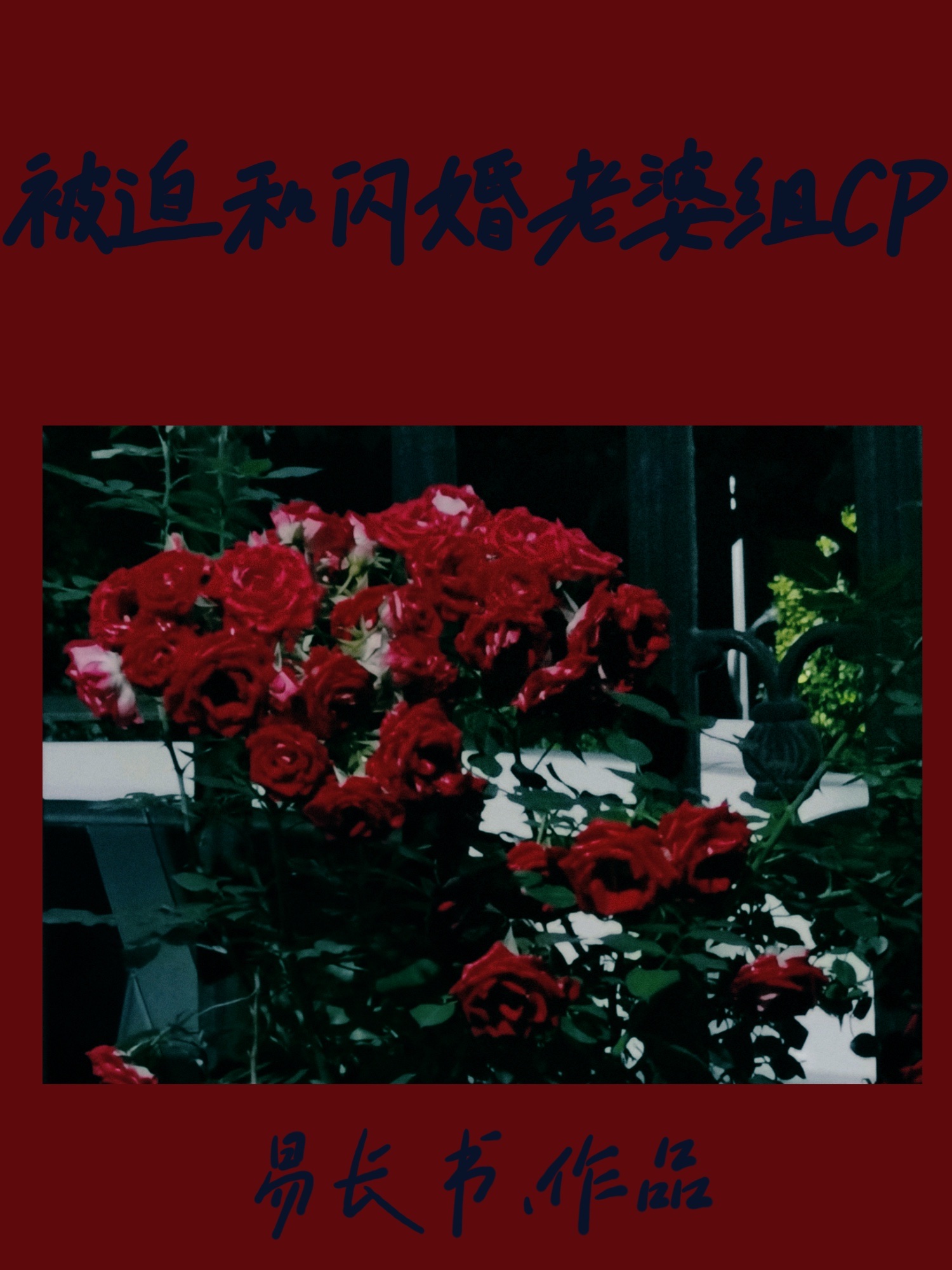 闪婚老公不见面
