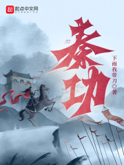 秦功白衍小说全集