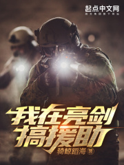 我在亮剑搞援助TXT下载