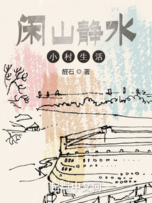 闲山静水小村生活TXT下载