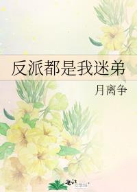 反派都是我弟弟