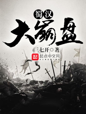 蜀汉走向衰败