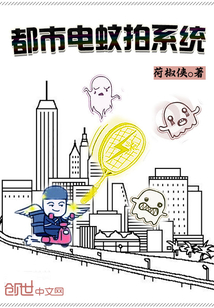 都市电蚊拍系统