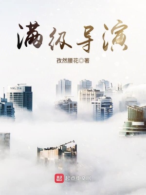 满级导演txt