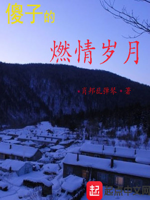 傻子的燃情岁月最新章节