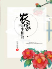 农家小相公 小说