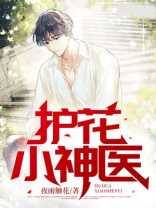 护花小神医别名大全