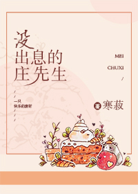没出息的庄先生小说免费阅读
