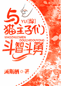 与猫咪斗智斗勇