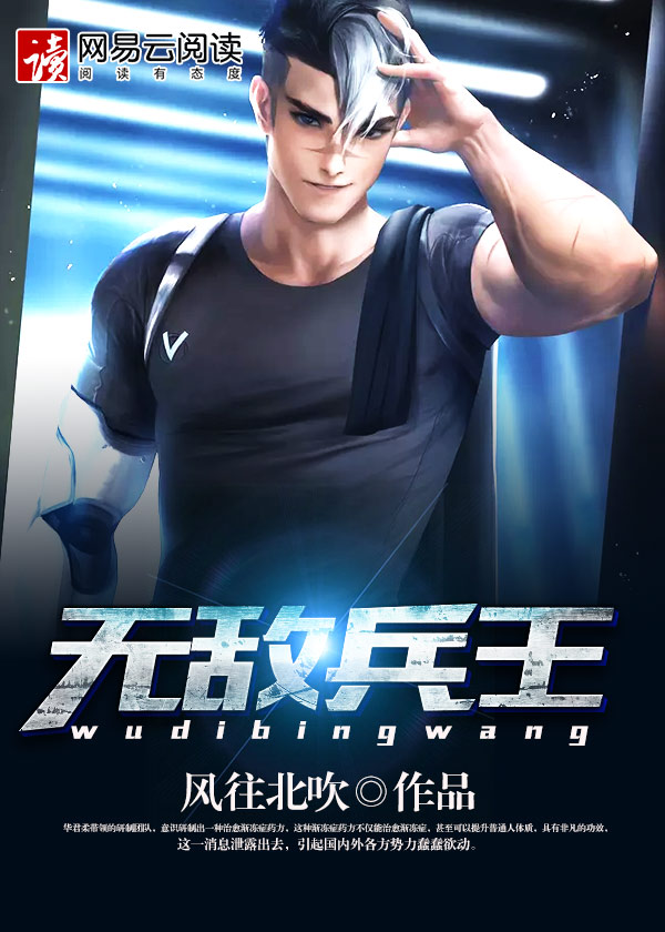 无敌兵王李风