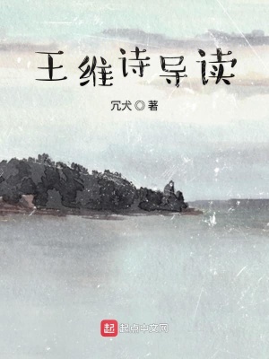 王维专题