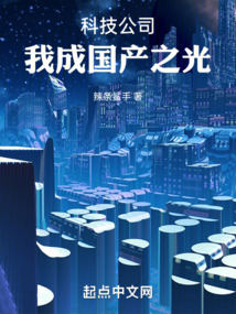 科技公司,我成国产之光