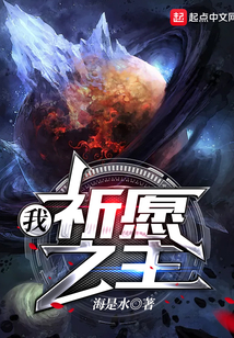 我祈愿之主笔趣阁