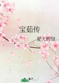 宝茹传的最新章节内容