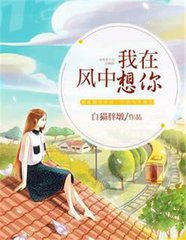 我在风中想你歌曲歌词