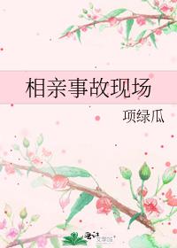 相亲事故现场TXT