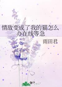 情敌变成了我的猫怎么办在线等急 作者:雨田君