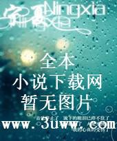 龙噬天下 网络黑侠