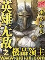 英雄无敌之领主小说