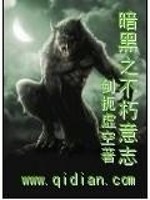 暗黑之不朽意志 小说