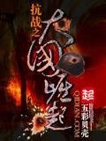 抗战之大国崛起笔趣阁