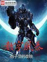 数字风暴 聚合中文网