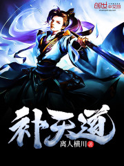 补天道完美世界
