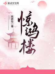 惊鸿楼是什么
