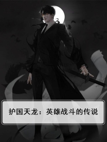 护国天龙正版