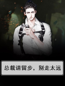 总裁请留步，别走太远