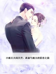 小魔王大闹天宫：逃妻与魔王的爱恋之旅
