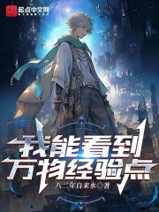 我能看到万物经验点笔趣阁