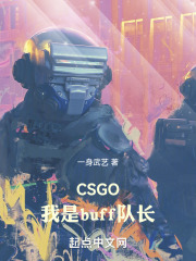 csgo我是buff队长小说