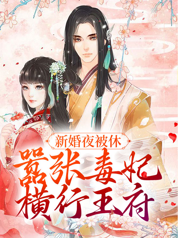 新婚夜被休,嚣张毒妃横行王府