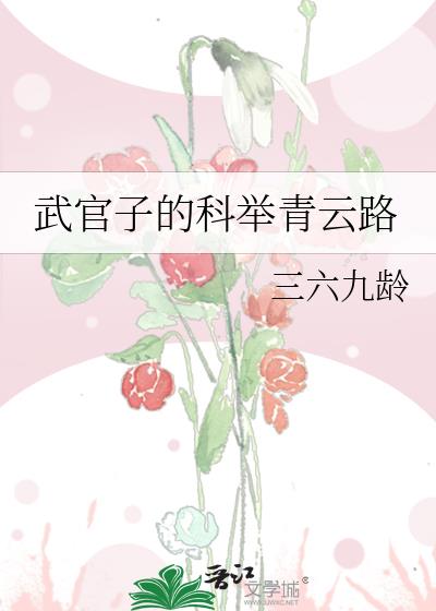 武官子的科举青云路txt百度网盘