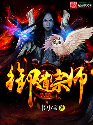 御道宗师下载