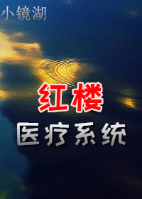 红楼医疗系统 小说