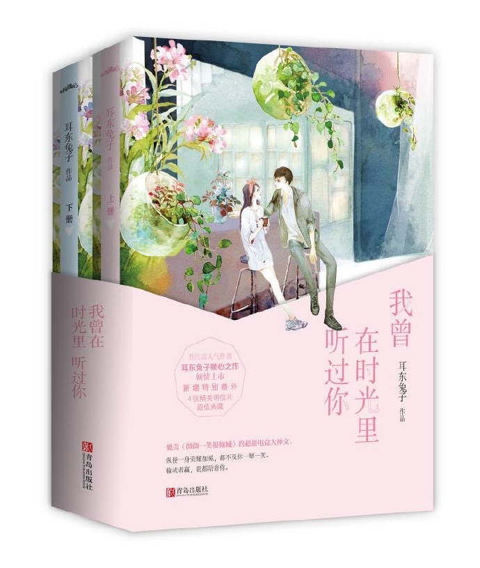 我曾在时光里听过你笔趣阁