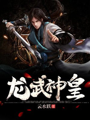 龙武神皇小说