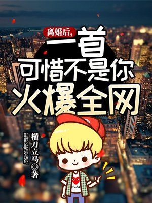 离婚后一首可惜不是你火爆全网有声小说