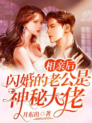 相亲后闪婚小说