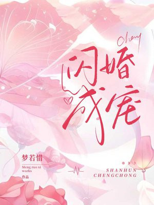 闪婚成宠小说全文免费