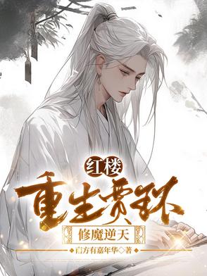 重生红楼之贾
