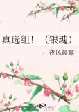 真选组！（银魂）