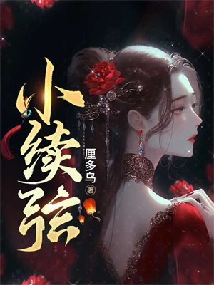小续弦百度网盘TXT下载