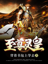 至尊灵皇女主角有几个
