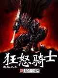 狂怒骑士wa2000