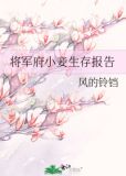 将军府小妾生存报告