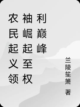 从农民起义到权倾天下的小说