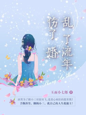 乱了流年伤了婚电视剧讲了什么